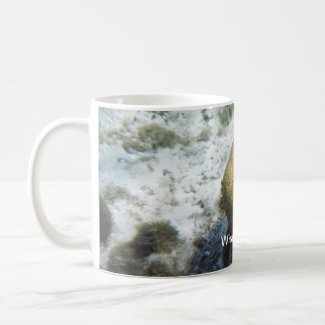 Brain Coral Coffee Mug