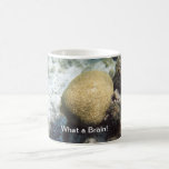 Brain Coral Coffee Mug mugs