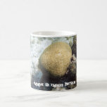 Brain Coral Coffee Mug - I need a new brain mugs