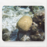Brain Coral Mouse Pad