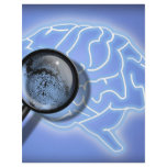 Brain fingerprint flyers