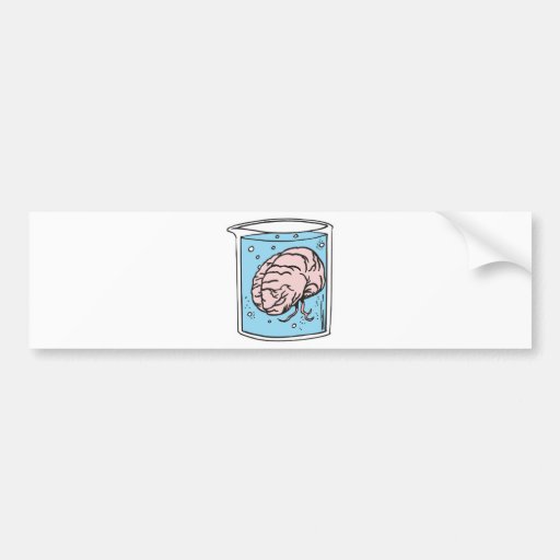 brain in a jar bumper sticker