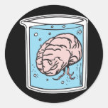 brain in a jar round sticker