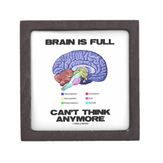 Brain Is Full Can't Think Anymore (Brain Anatomy) Premium Trinket Box