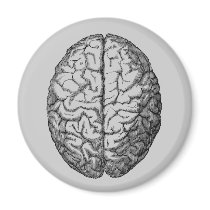 Brain Refrigerator Magnet