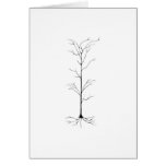 Brain Note Card