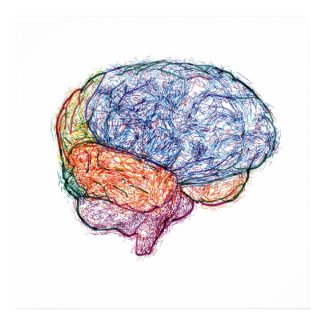brain print