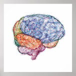brain posters