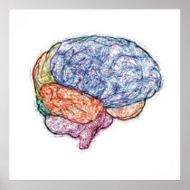 brain posters