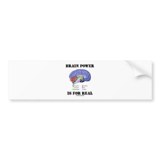 Brain Power Is For Real (Brain Anatomy Attitude) bumpersticker