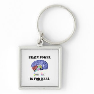 Brain Power Is For Real (Brain Anatomy Attitude) keychain