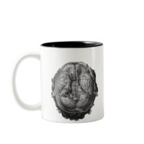 brain revealed coffee mugs
