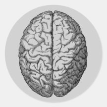 Brain Round Stickers