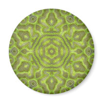Brain Star Trilobite Magnets