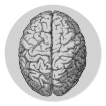 Brain Round Stickers