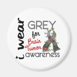 Brain Tumor I Wear Grey For Awareness 43 Magnets