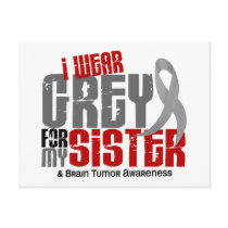 Brain Tumor I Wear Grey For My Sister 6.2 Post Card