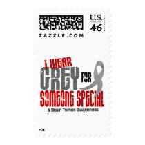 Brain Tumor I Wear Grey For Someone Special 6.2 Postage Stamp