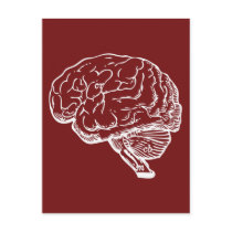 Brainiac Post Cards