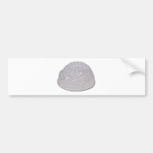Brains010911 Bumper Sticker