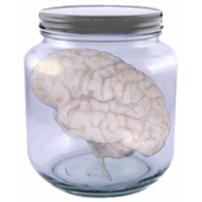 brains II Shirt by lawino