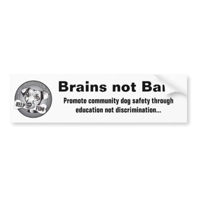 Brains not Bans (white) Bumper Stickers by helpfido