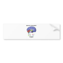 Brainy Mindset Inside (Anatomical Brain) Bumper Stickers