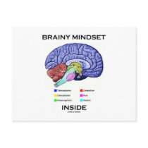 Brainy Mindset Inside (Anatomical Brain) Post Cards