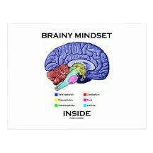 Brainy Mindset Inside (Anatomical Brain) Post Cards
