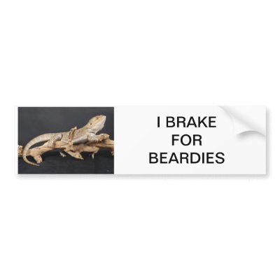 Brake for Beardy's Bumper Sticker by Fliehigh