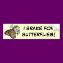 Brake for Butterflies Bumper Sticker bumper stickers