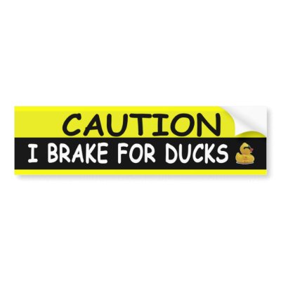 Brake For DUCKS Bumper Stickers by bumper2bumper