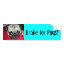 Brake for Pugs! Bumper Sticker bumper stickers by Seth_1989 Brake for Pugs! Bumper Sticker bumper stickers