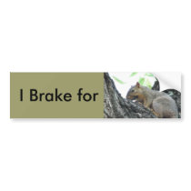 Brake for Squirrels Bumper Sticker bumper stickers