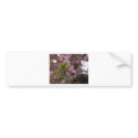 Bramble Bokeh bumpersticker