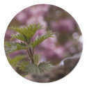 Bramble Bokeh sticker
