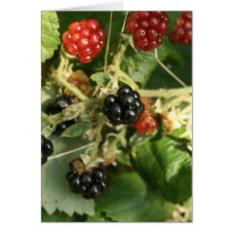 brambles cards