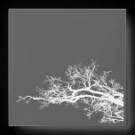 branch envelope