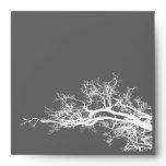branch envelope