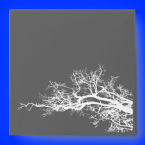 branch envelope