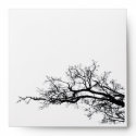 branch envelope