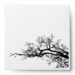 branch envelopes