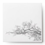branch envelopes