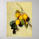 Branch of Lemons,1883 Posters