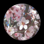 Branch of Pink Blossoms Magnet