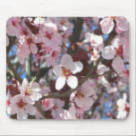 Branch of Pink Blossoms Mousepad