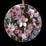 Branch of Pink Blossoms Ornament