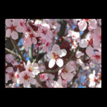 Branch of Pink Blossoms Print