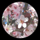 Branch of Pink Blossoms Sticker