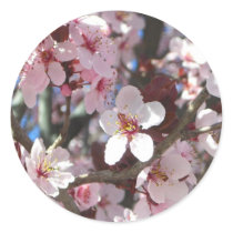 Branch of Pink Blossoms Sticker